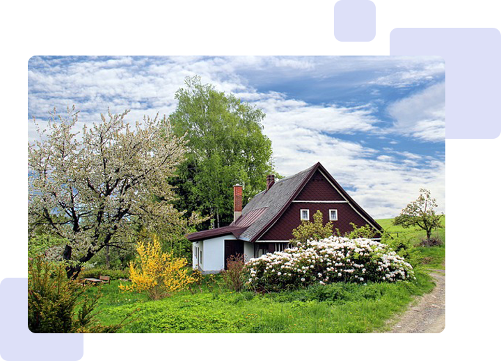 A house with trees and bushes in the background